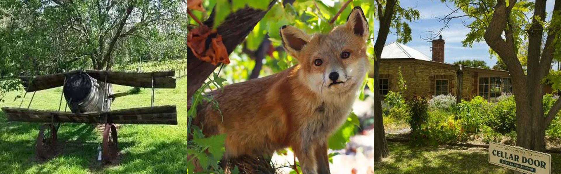 1574143762662308.jpg 未标题-11.jpg