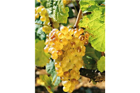 1575271974848755.jpg aec42783-2f02-4f05-9369-42e91d94085e.jpg